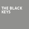 The Black Keys, Scotiabank Arena, Toronto