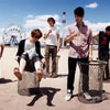 Foals