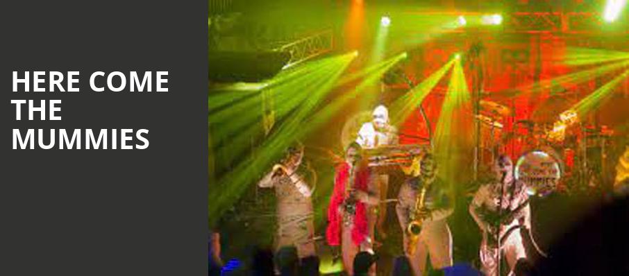 Here Come The Mummies, The Concert Hall, Toronto