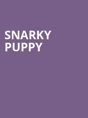 Snarky Puppy Poster
