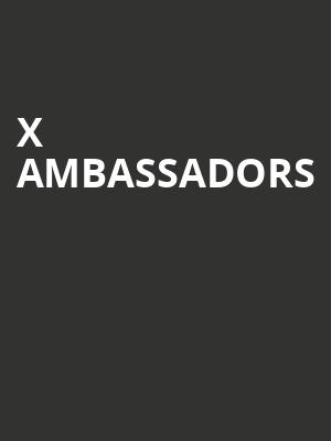 X Ambassadors Poster