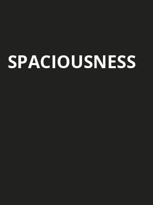 Spaciousness Poster