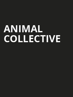 Animal Collective, Danforth Music Hall, Toronto