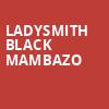 Ladysmith Black Mambazo, Koerner Hall, Toronto