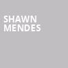 Shawn Mendes, Scotiabank Arena, Toronto