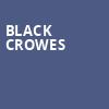 Black Crowes, Budweiser Stage, Toronto