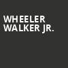 Wheeler Walker Jr, Danforth Music Hall, Toronto