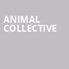 Animal Collective, Danforth Music Hall, Toronto